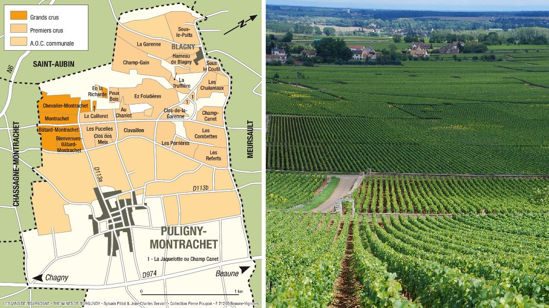 Puligny-Montrachet - Lagenkarte und Weingärten
