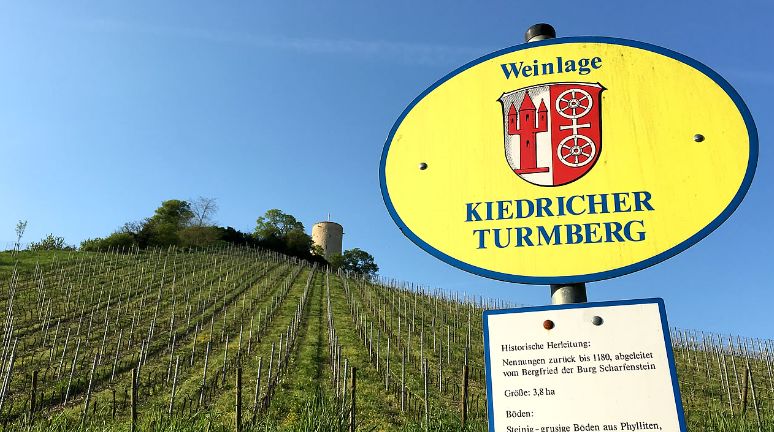 Einzellage Turmberg in der Gemein de Kiedrich im Rheingau