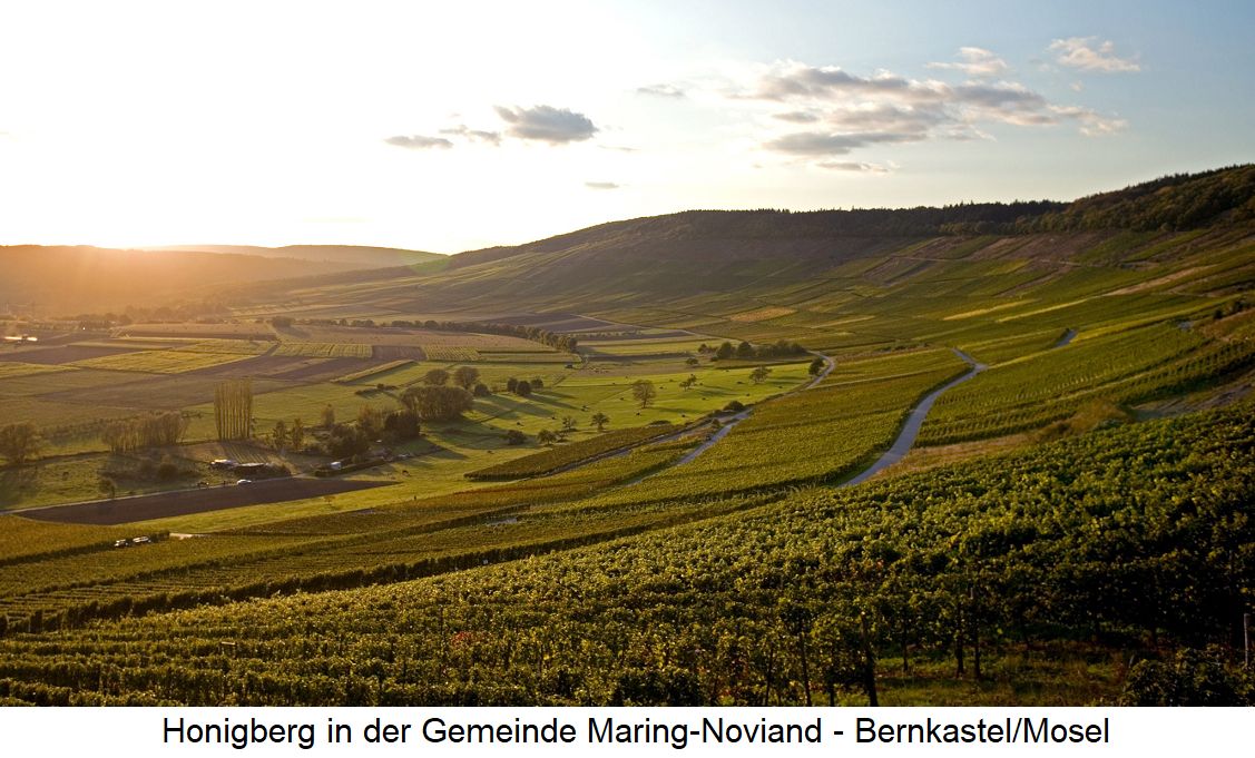 Einzellage Honigberg in der Gemeinde Maring-Noviand - Bernkastel/Mosel