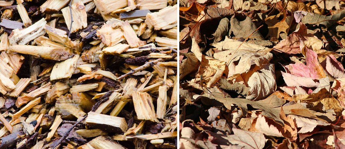 Mulch - Rinde/Holz und Laub