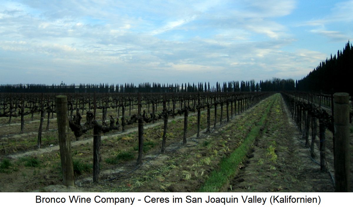 Bronco Wine Company - Weinberge im San Joaquin Valley