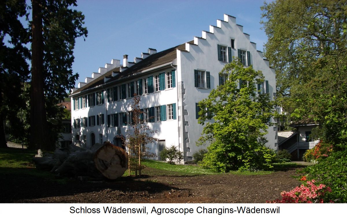 Wädenswil - Schloss Wädenswil, Agroscope Changins-Wädenswil