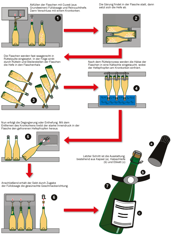 Méthode champenoise - Graphik Flaschengärung