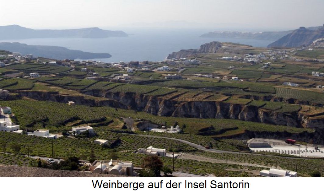 Vinsanto - Weinberge auf der Insel Santorin