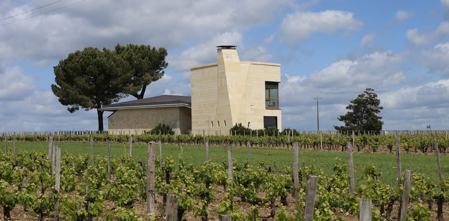 Château Le Pin - Weingutsgebäude inmitten Rebflächen