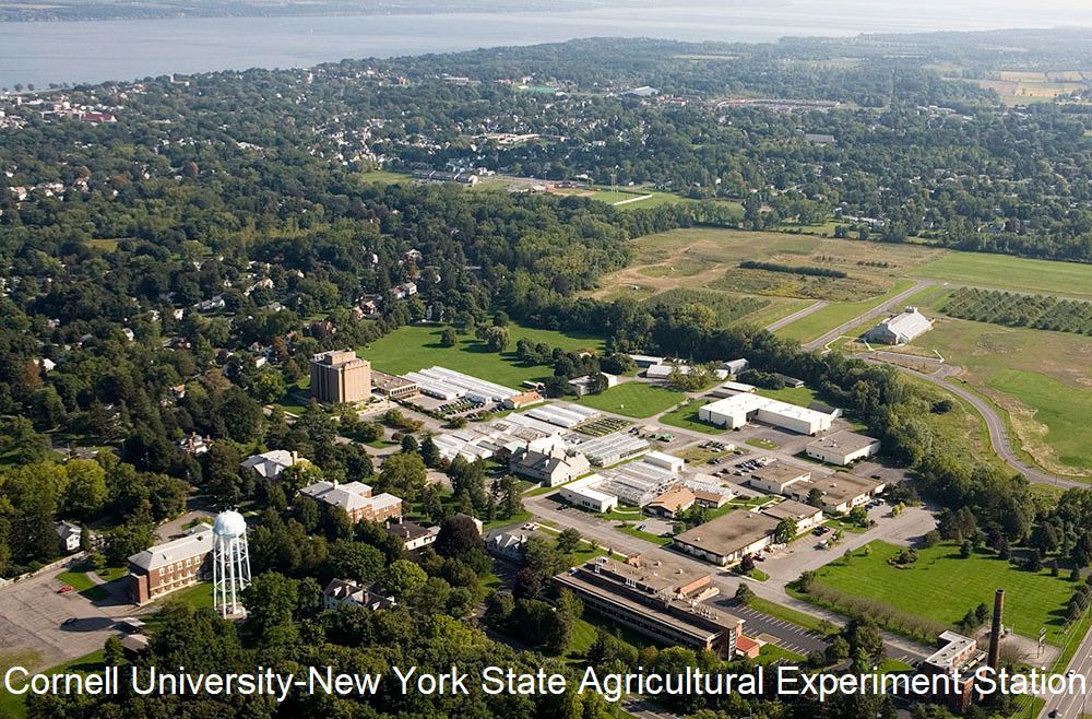 Cornell University - New York State Agricultural Experiment Station