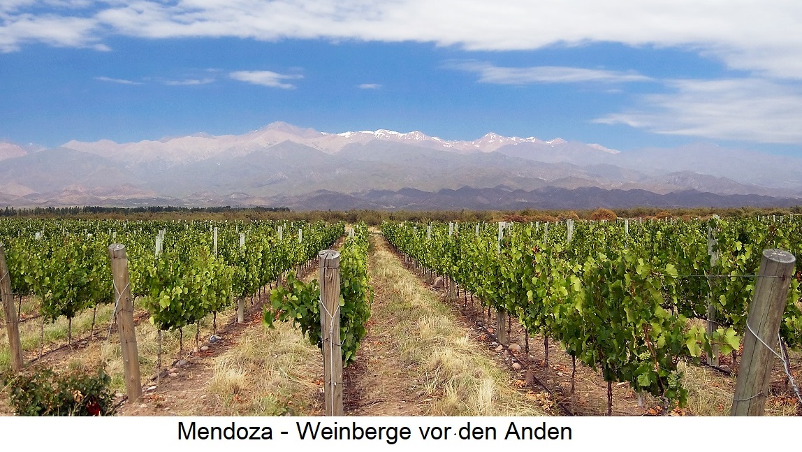 Mendoza - Weinberge vor den Anden
