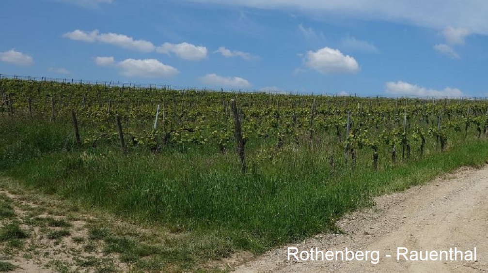 Rothenberg - Rauenthal