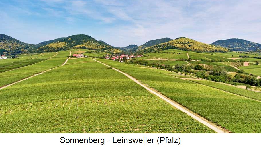 Sonnenberg - Leinsweiler (Pfalz)