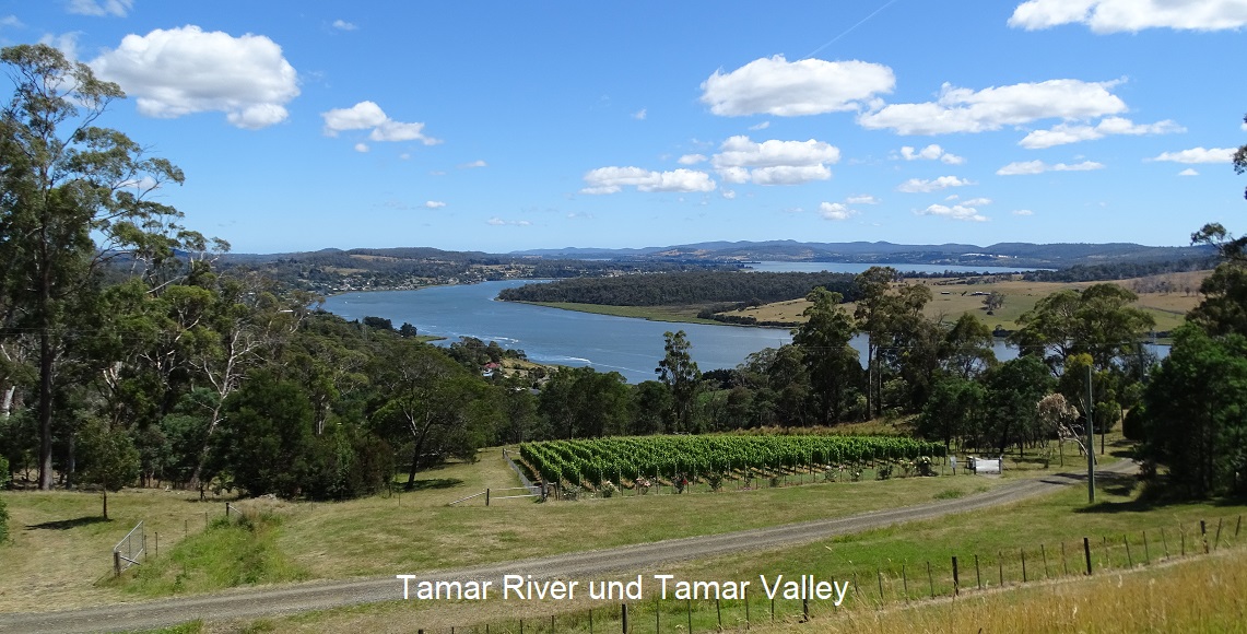 Tasmanien - Tamar River im Tamar Valley