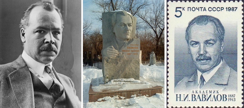 Vavilov Nikolai Ivanovich - Porträt, Büste, Briefmarke