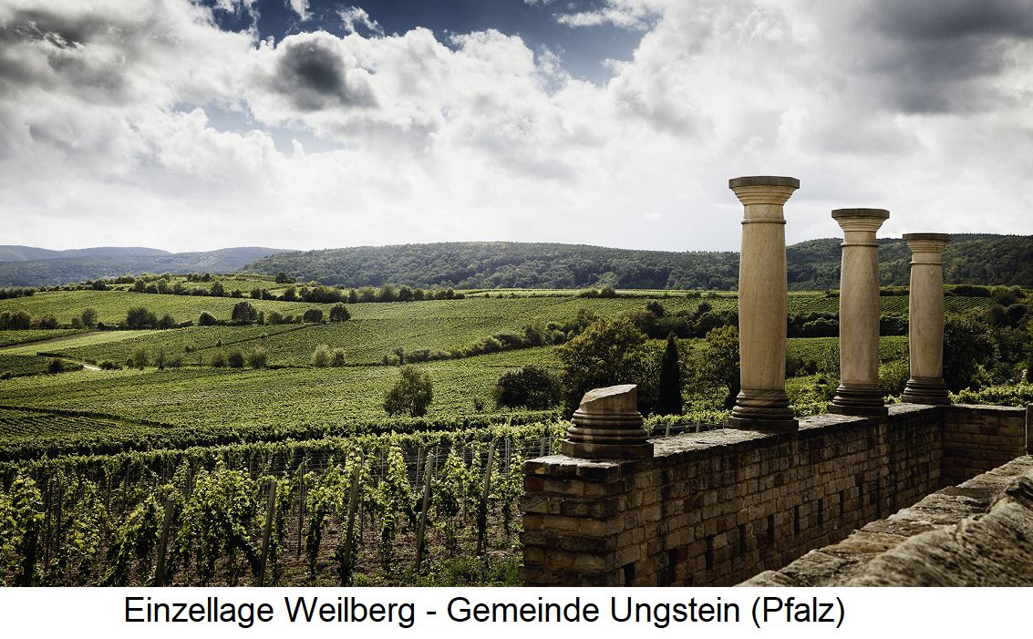 Weilberg - Einzellage in Ungstein (Pfalz)