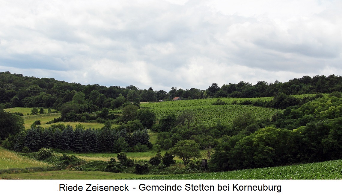 Zeiseneck - Weingärten