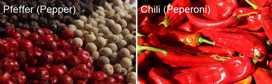 pfeffrig - Pfeffer (Pepper) und Chili (Peperoni)
